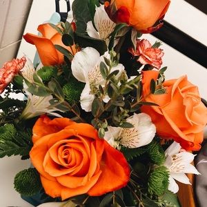 Meet your Posher, Paige